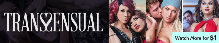 Transsensual Blog Banner #1